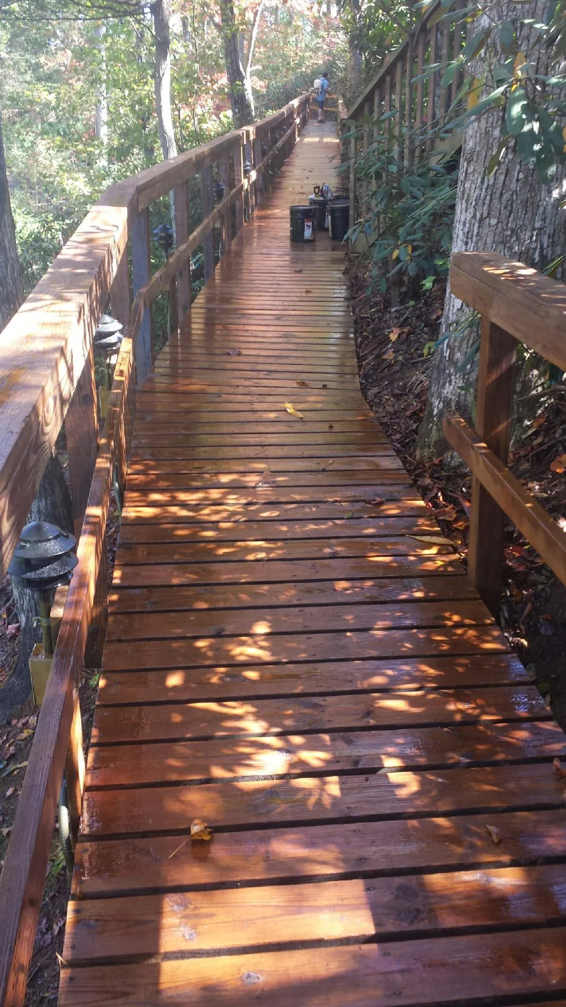 Freshly stained wood walkway winding through the woods in Kewanna